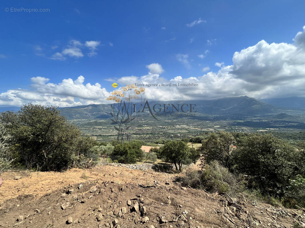 Terrain à MONTICELLO
