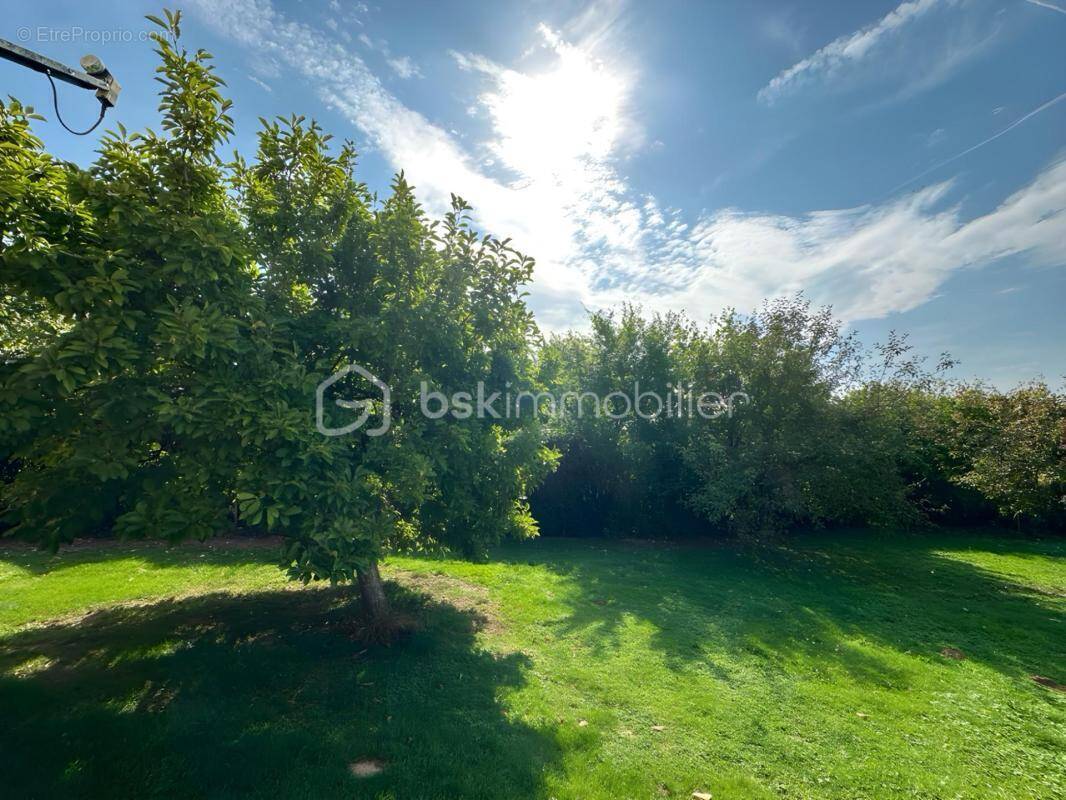 Maison à VIVIER-AU-COURT