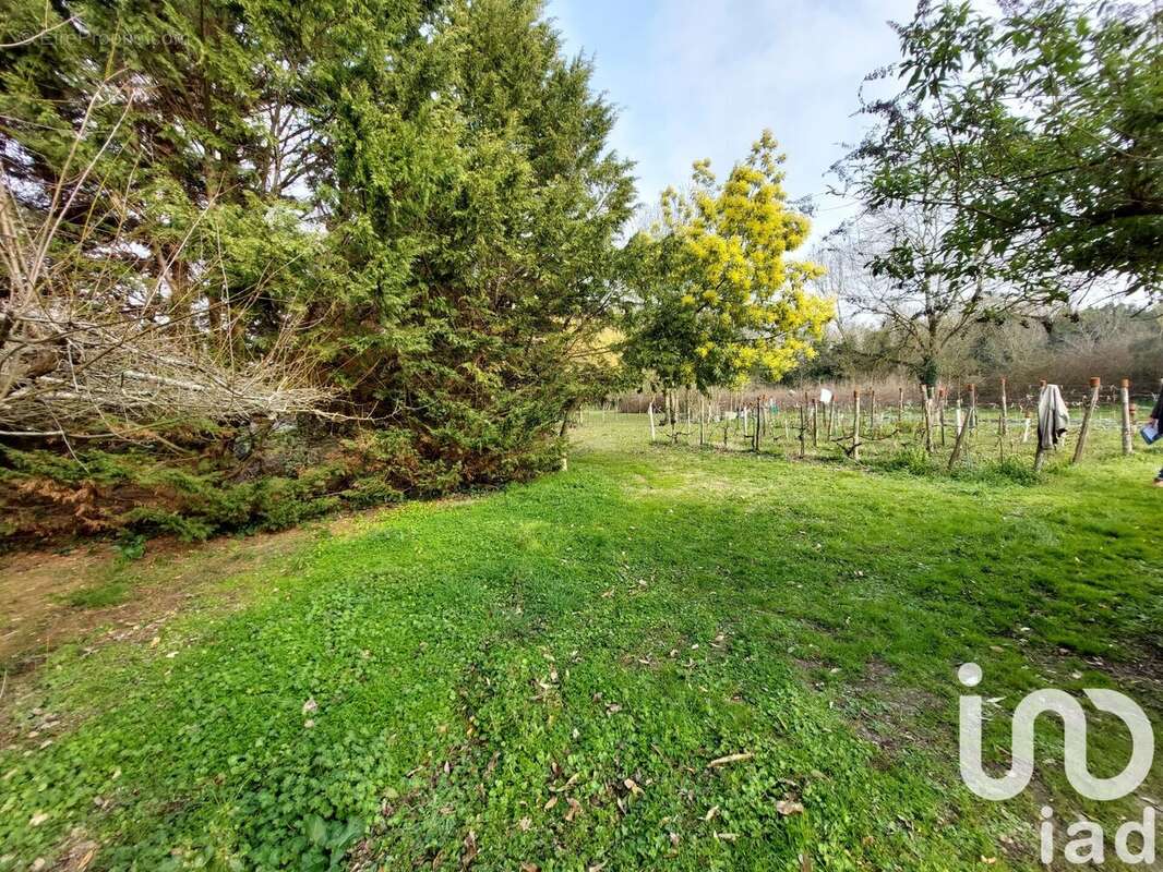 Photo 7 - Maison à MARENNES