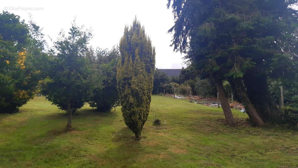 Maison à PLONEVEZ-DU-FAOU