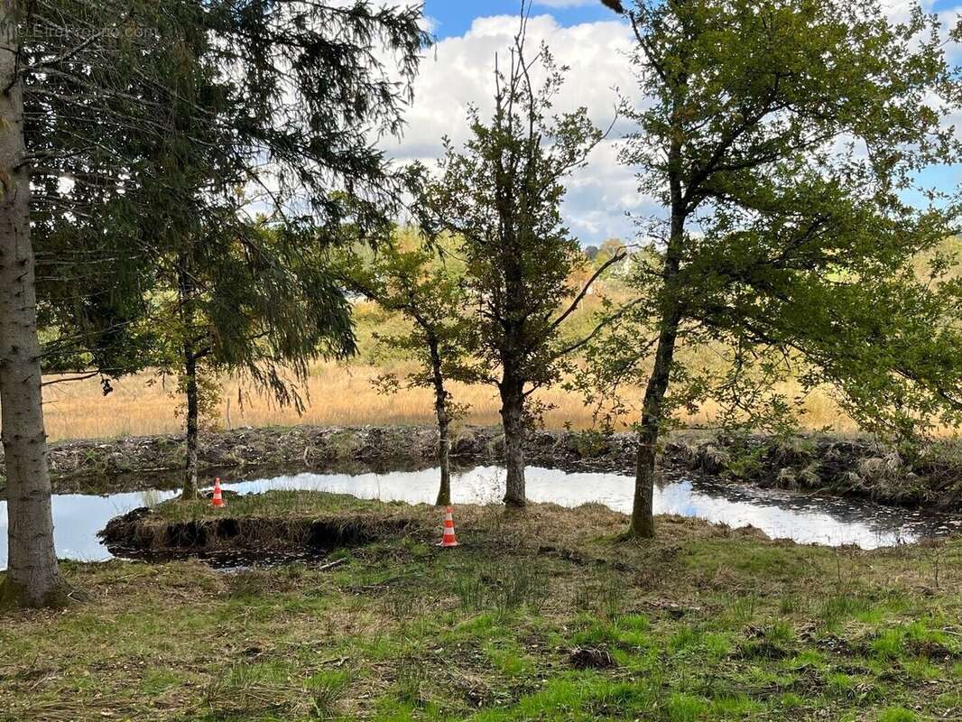 Terrain à MONTSAUCHE-LES-SETTONS
