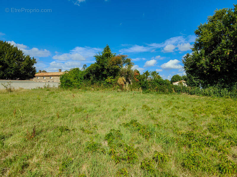 Terrain à SAUZE-VAUSSAIS