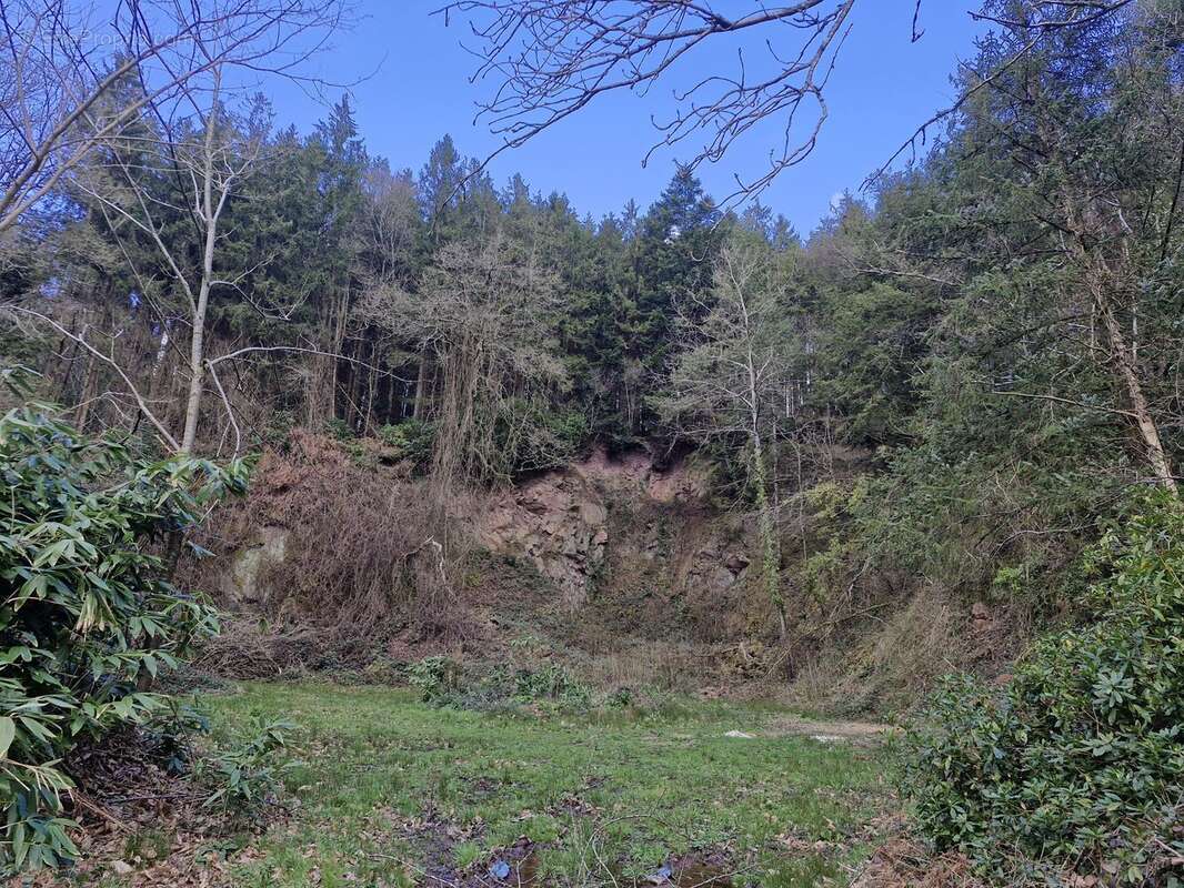 Terrain à TORIGNI-SUR-VIRE