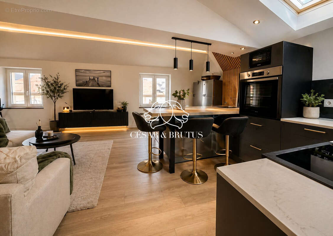 Appartement à VIENNE