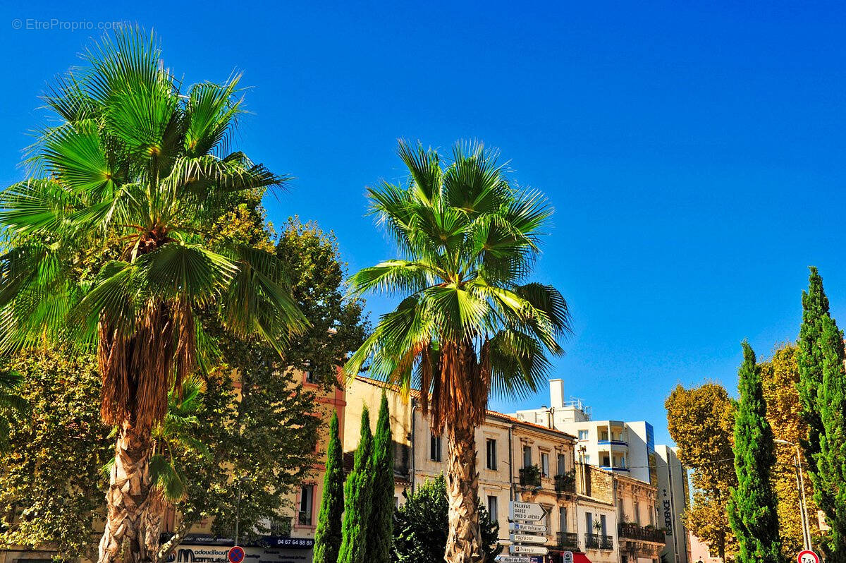 Appartement à MONTPELLIER