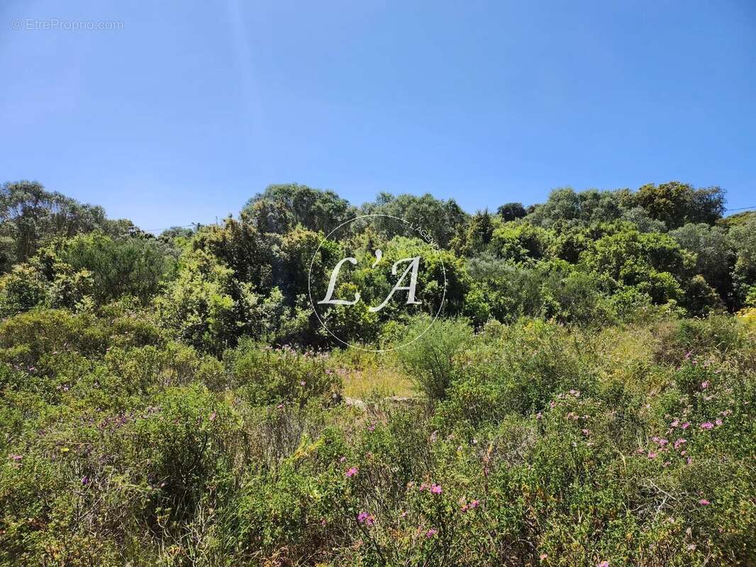 Terrain à BONIFACIO