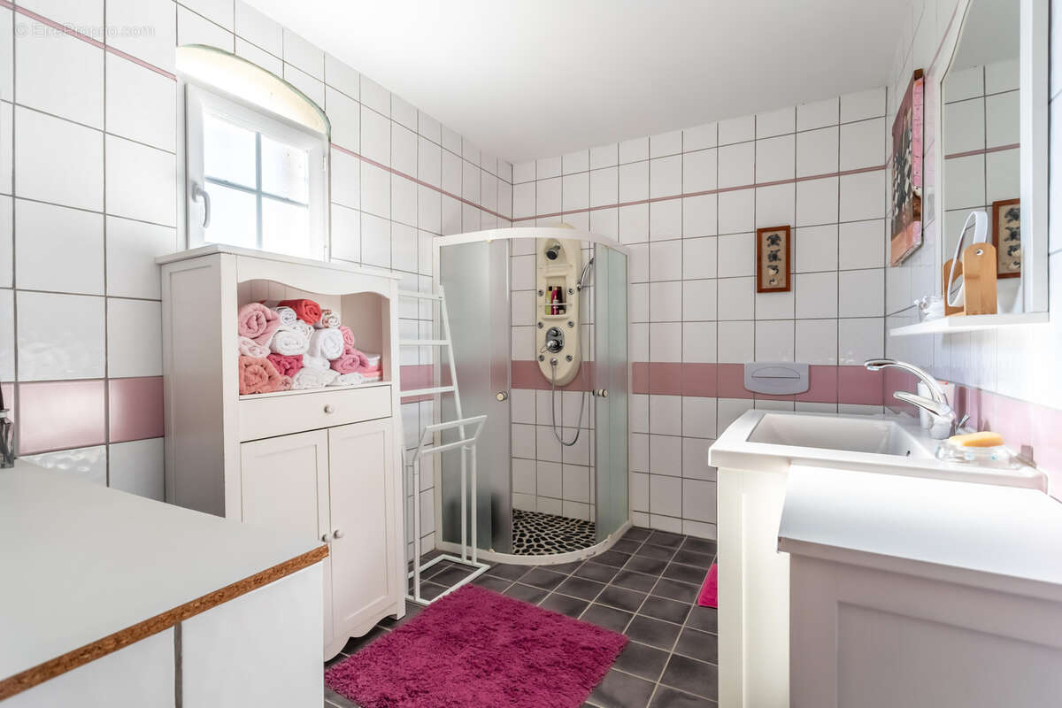 Propriété de campagne avec piscine, annexe, terrain, garage et lac - photo 46
