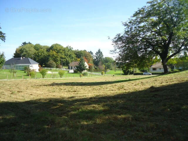 Grande parcelle constructible proche centre - photo 2