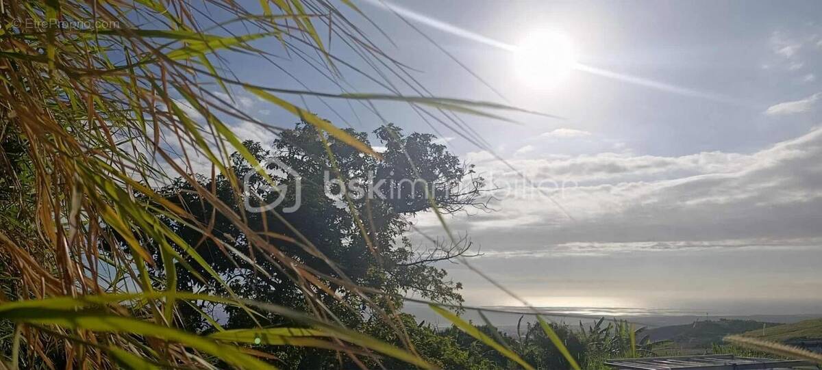 Terrain à SAINT-PIERRE