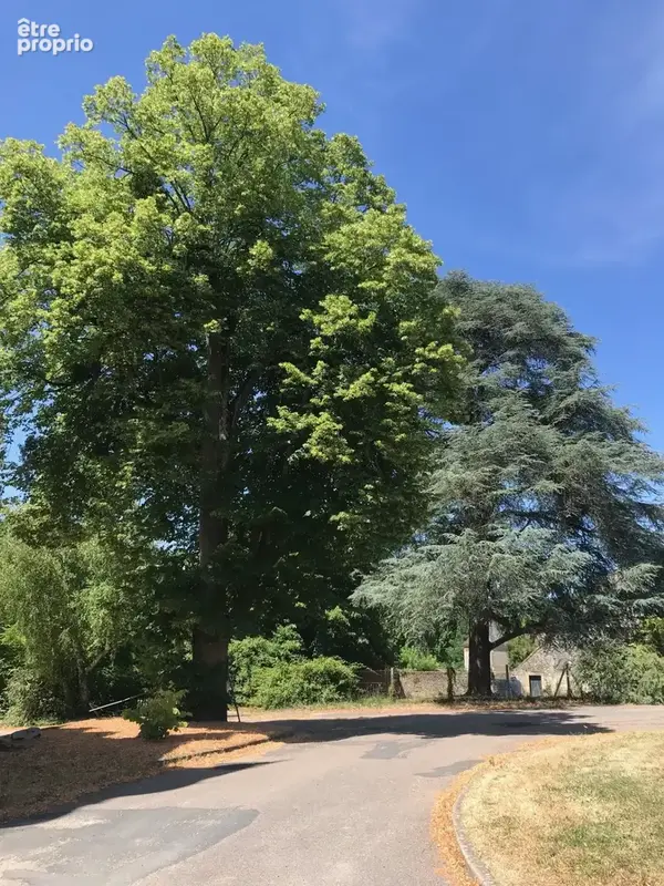 Château à VIERZON (18) - photo 4