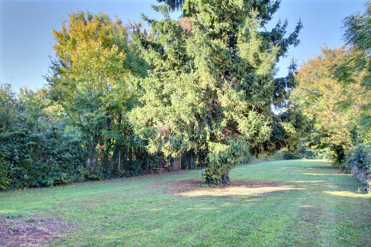 Maison à ANGERVILLE