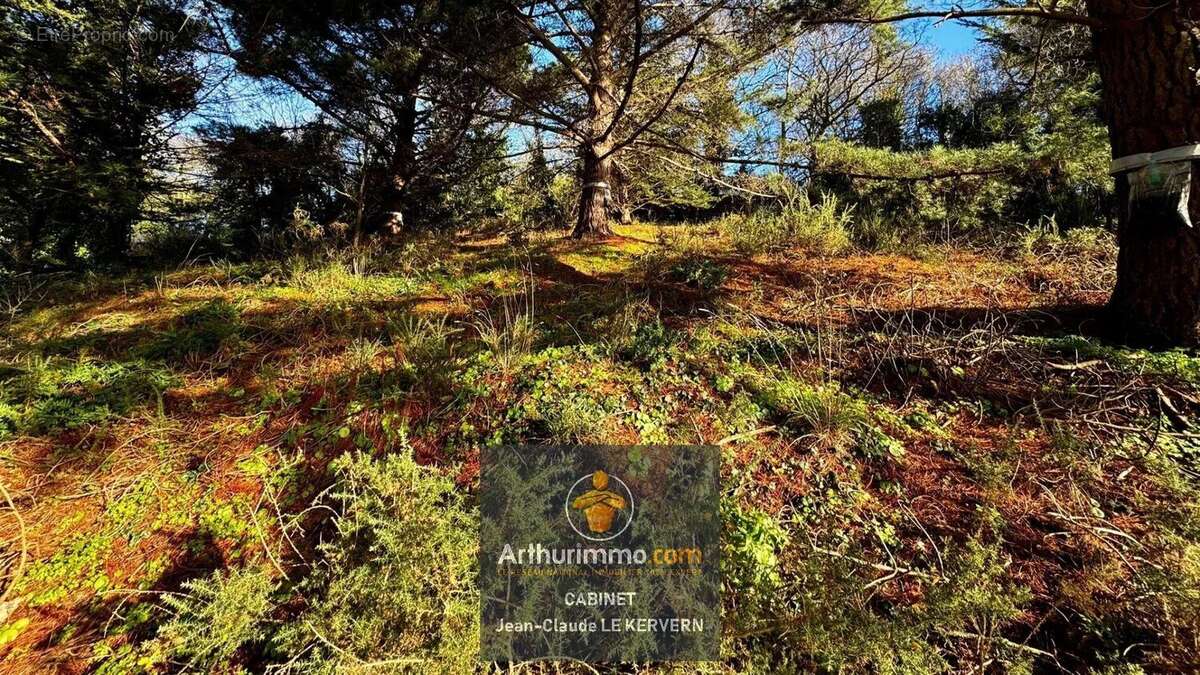 Vente Terrain (22520) 101 745ï¿œ - photo 2