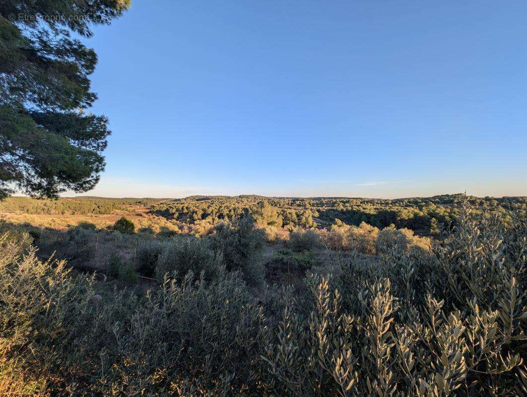Maison à CASTELNAU-DE-GUERS