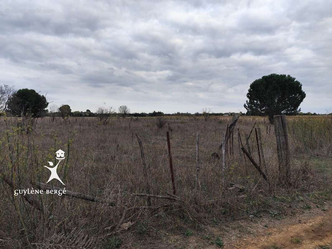 Terrain à AIMARGUES