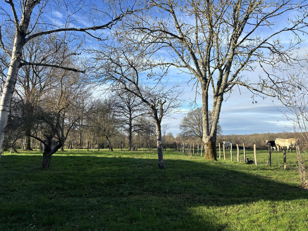 Maison à LE MELE-SUR-SARTHE