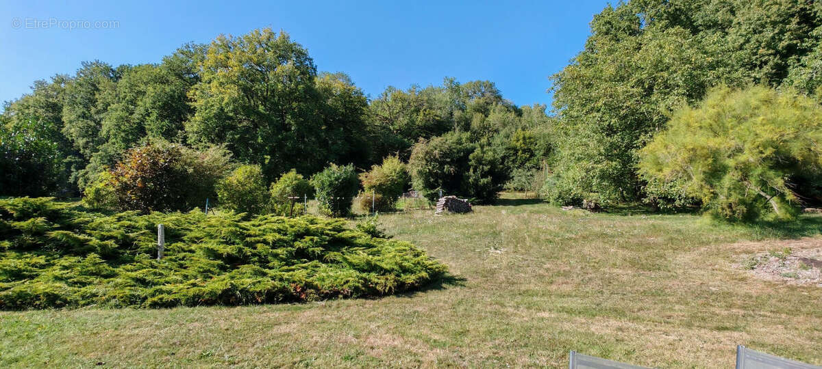 Maison 287 m² à Saint-Martin-D'ablois  - photo 3