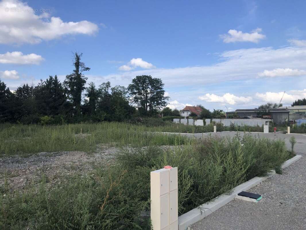 Terrain à ALGOLSHEIM