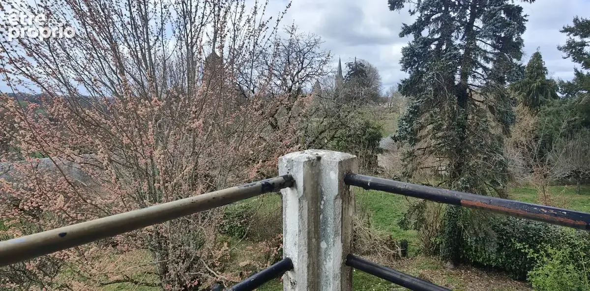 Maison 6 chambres avec jardin – centre à pied – calme - photo 12