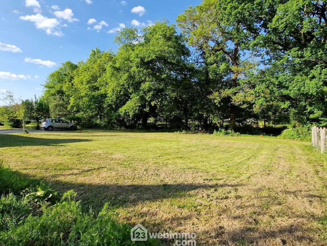 Terrain à VENANSAULT