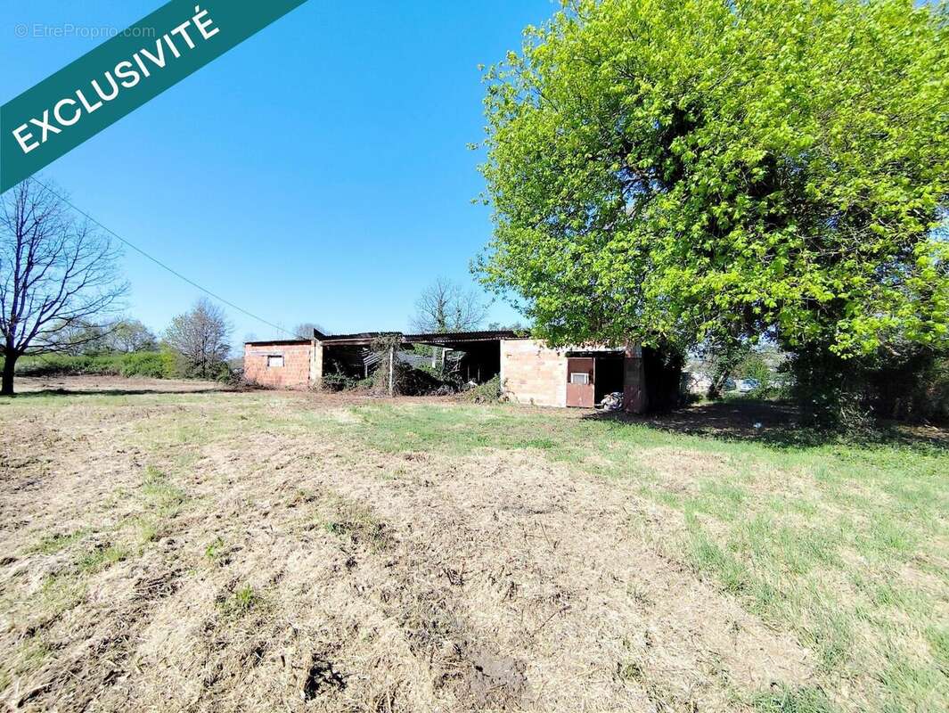 Photo 3 - Terrain à CASTELSARRASIN