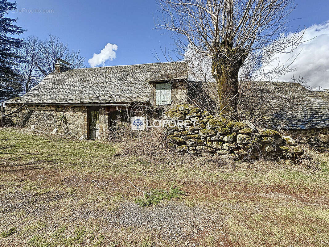 Maison à LAGUIOLE