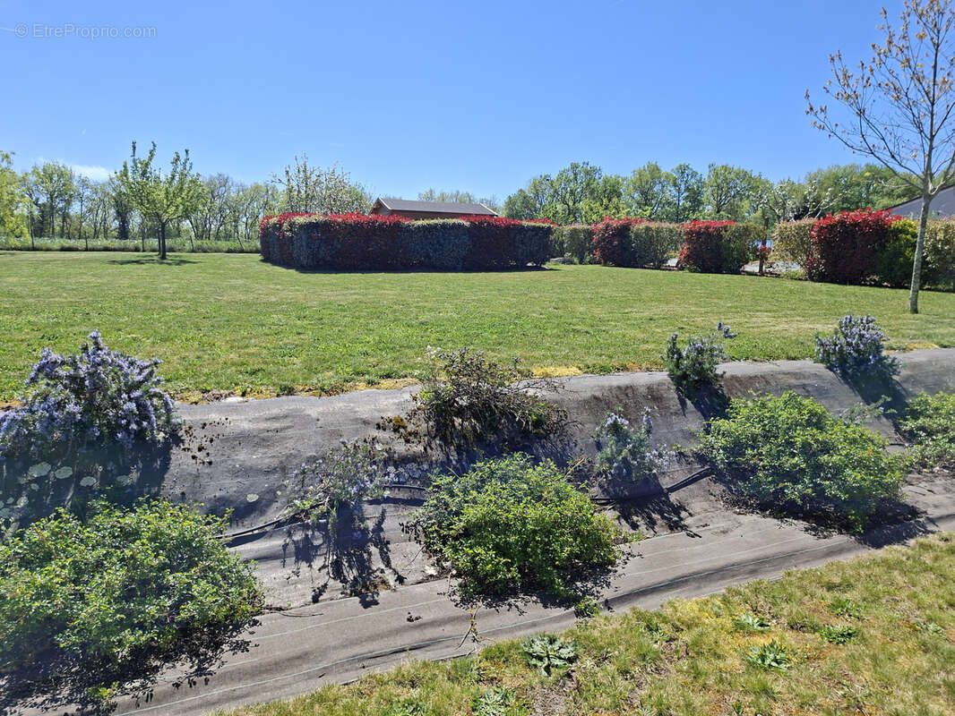 Maison à FOULAYRONNES