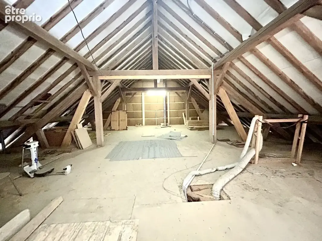 Maison de caractère à vendre 10 pièces ALBY SUR CHERAN (74) - photo 16