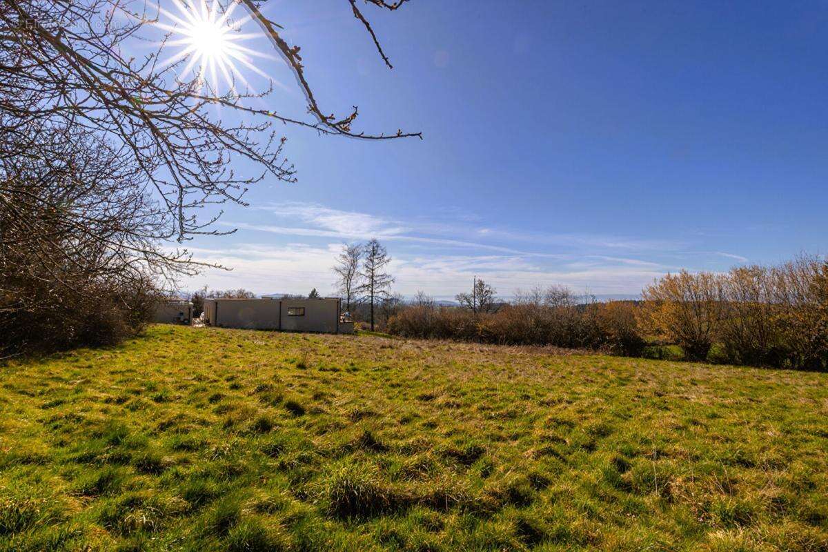 Terrain à SAINTE-AGATHE-EN-DONZY