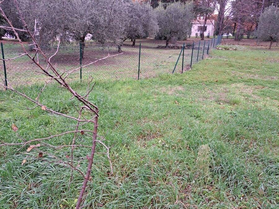 Terrain à BOUC-BEL-AIR