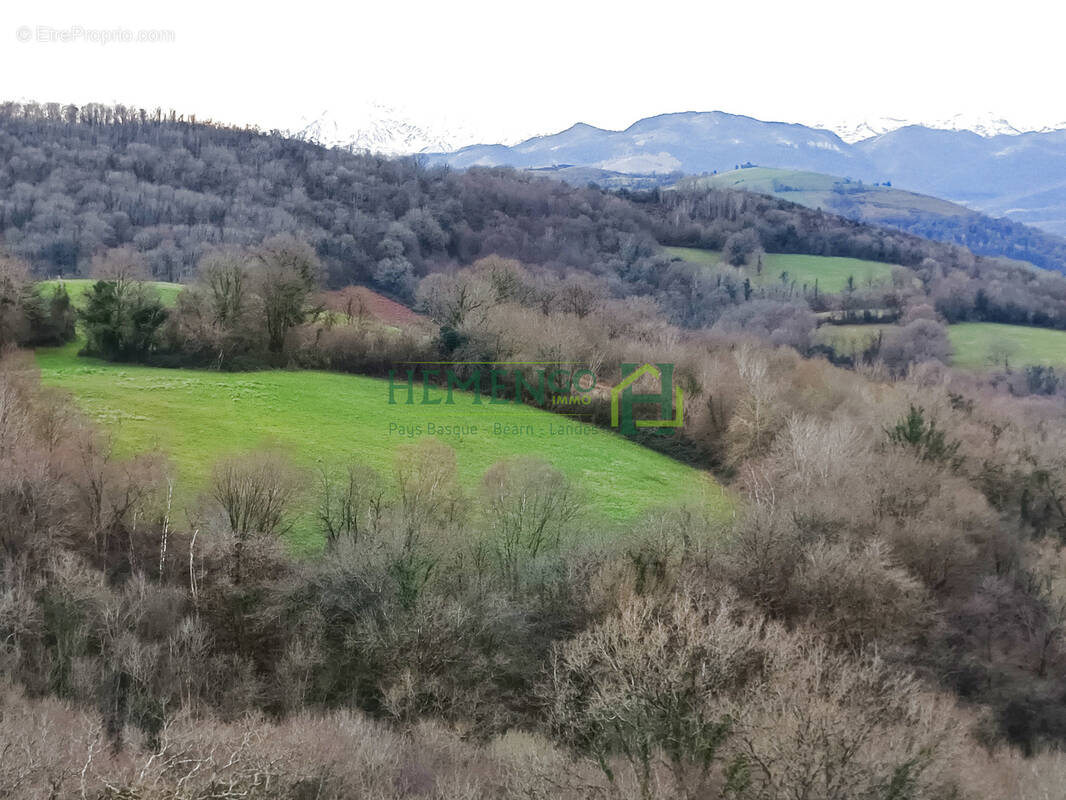 Terrain à MONCAYOLLE-LARRORY-MENDIBIEU