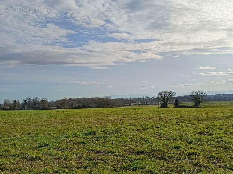 Maison à AIRE-SUR-L'ADOUR