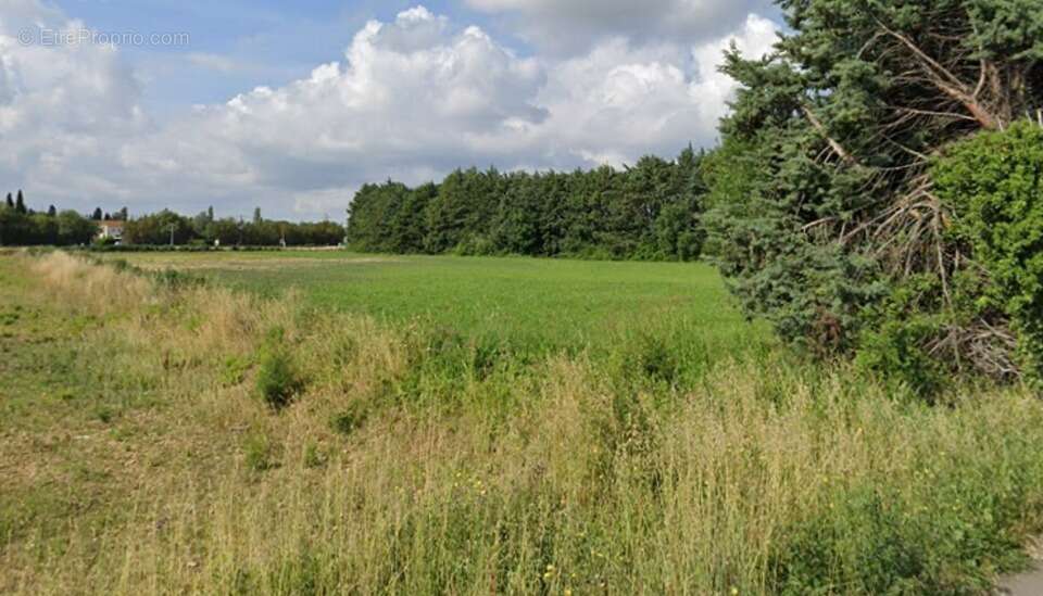 Terrain à SAINT-MARTIN-DE-CRAU