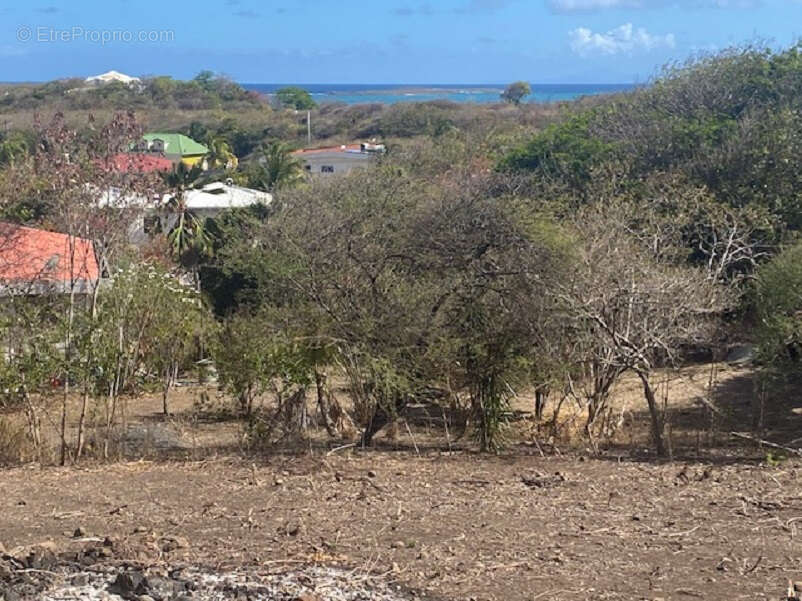 Terrain à SAINTE-ANNE