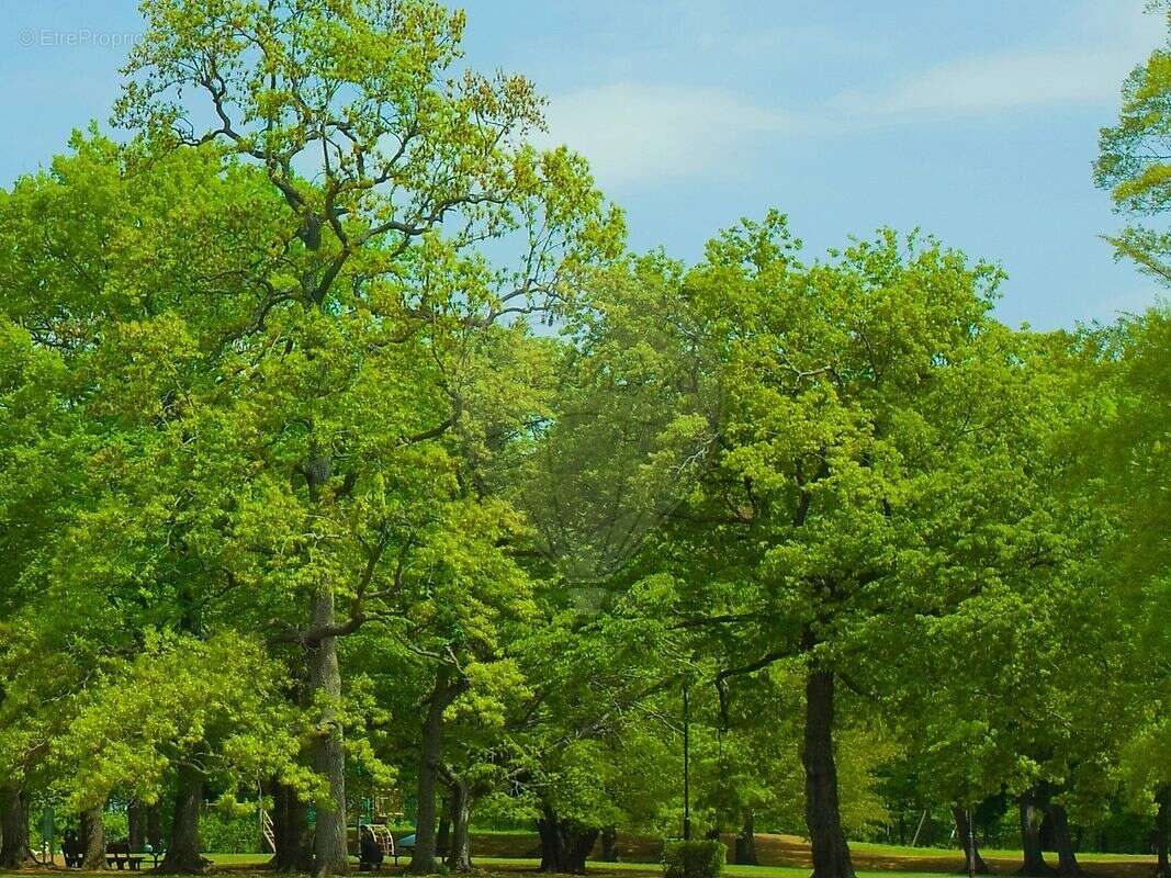 Appartement à LAMORLAYE