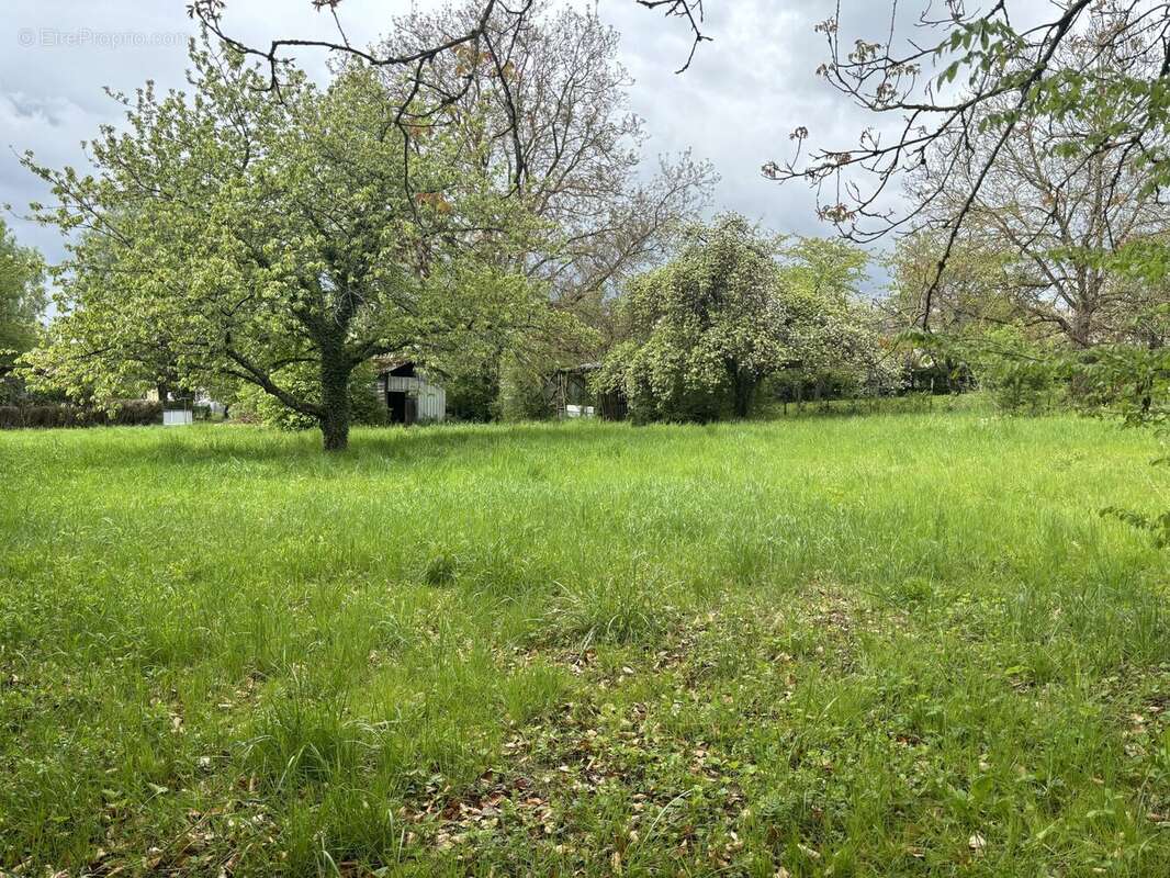 Terrain à SARREBOURG