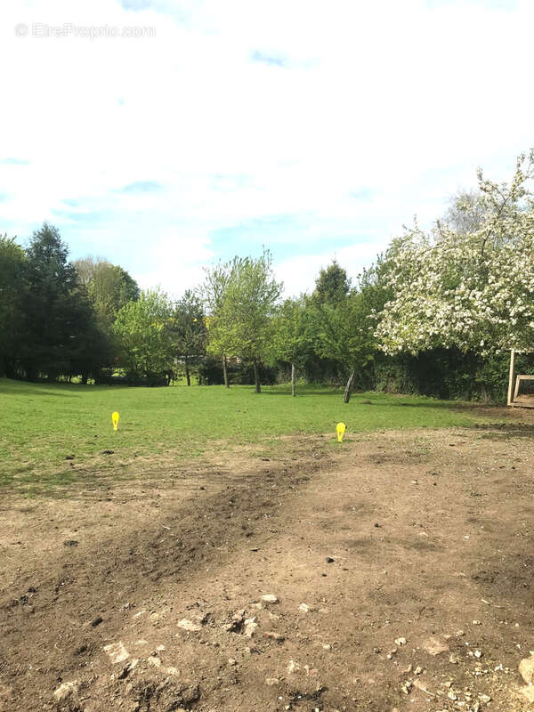 Terrain à LE BOCASSE