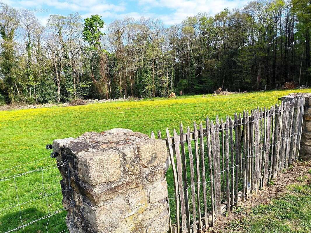 Photo 5 - Maison à VIGNEUX-DE-BRETAGNE