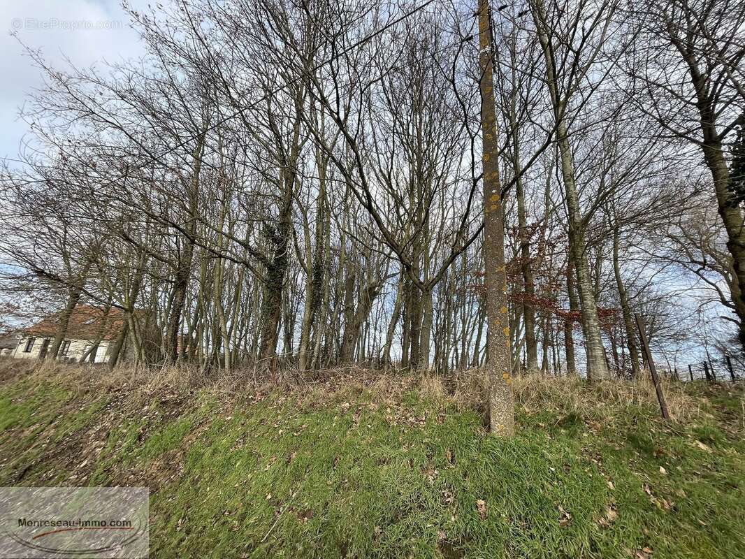 Terrain à VENDHUILE