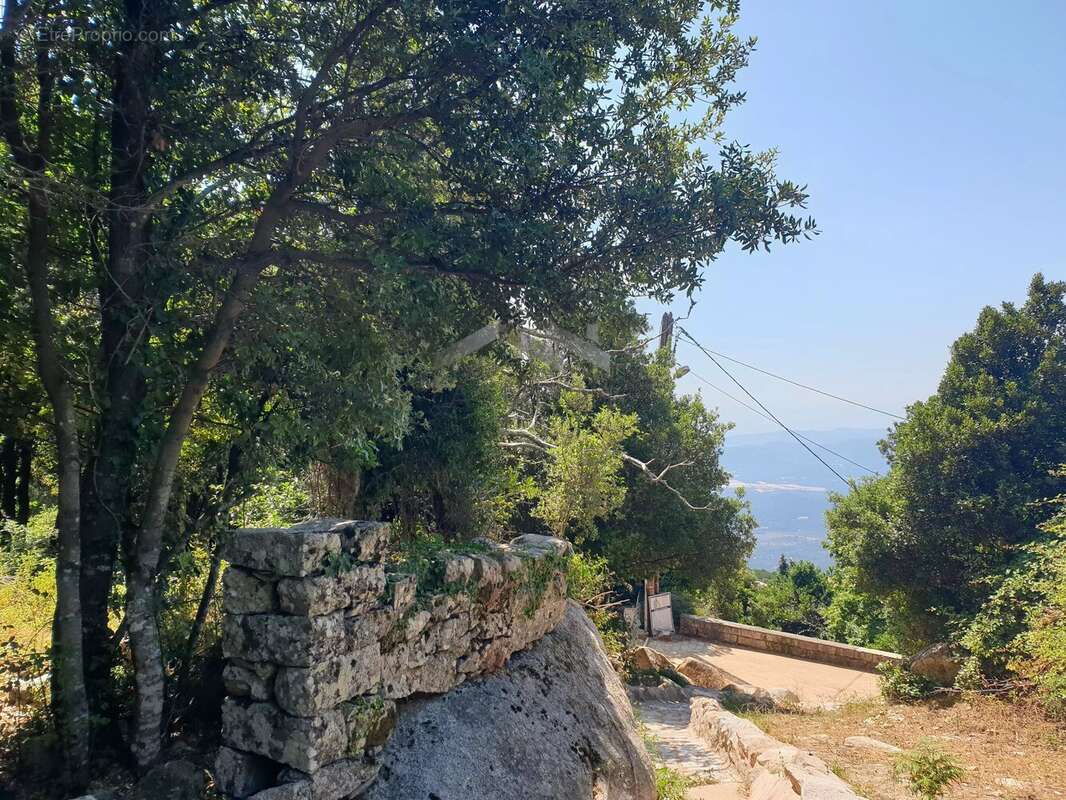 Terrain de 495 m² à L’Ospedale, Commune de Porto-Vecchio - photo 6