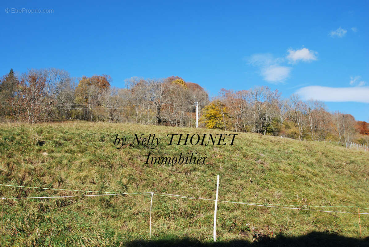 Dépt.63, egliseneuve d'entraigues, terrain à bâtir de 2547 m2 - photo 2