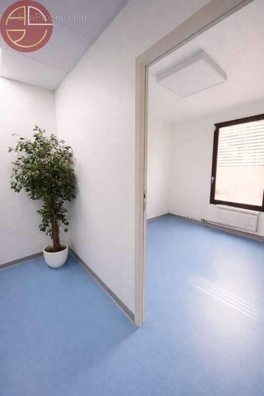 Commerce à TOULOUSE