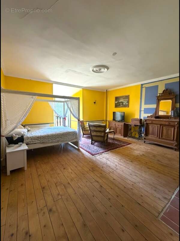 Propriete à vendre 8 pièces MONTEGUT (65) - photo 13