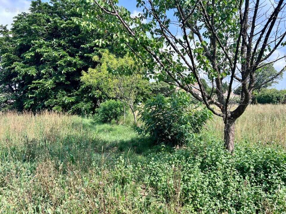 Terrain 680 m² à Fos-Sur-Mer  - photo 2