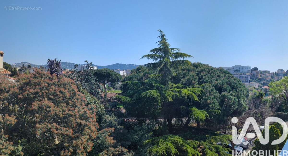 Photo 2 - Appartement à CANNES