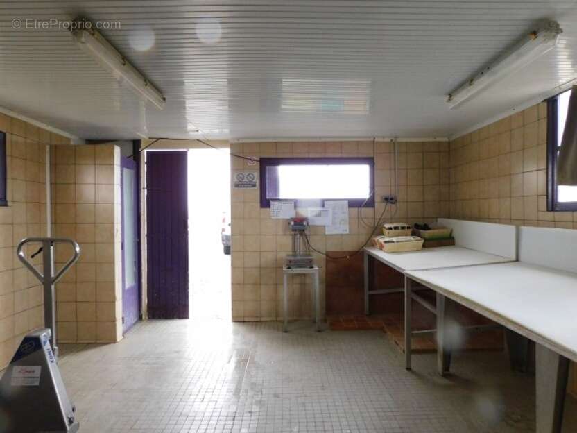 Commerce à DOLUS-D'OLERON