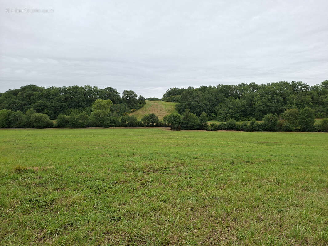 Terrain à MARCIAC