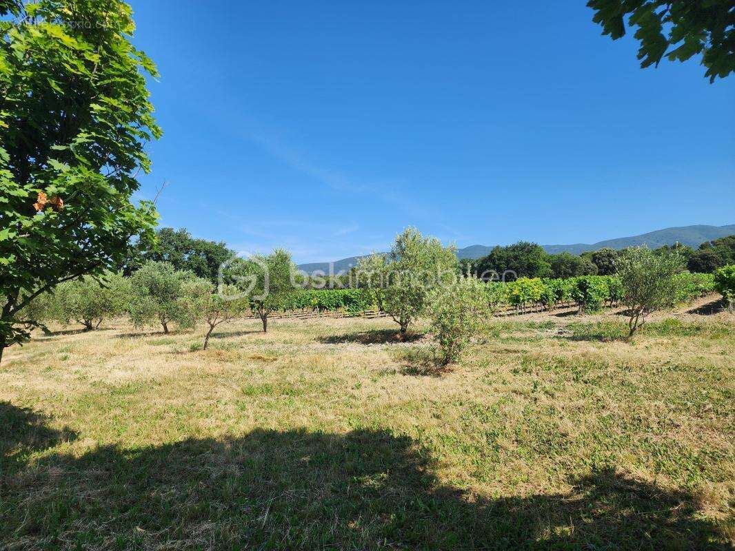 Mas Authentique au Cœur du Luberon sur plus de 2,7 hectares - photo 2