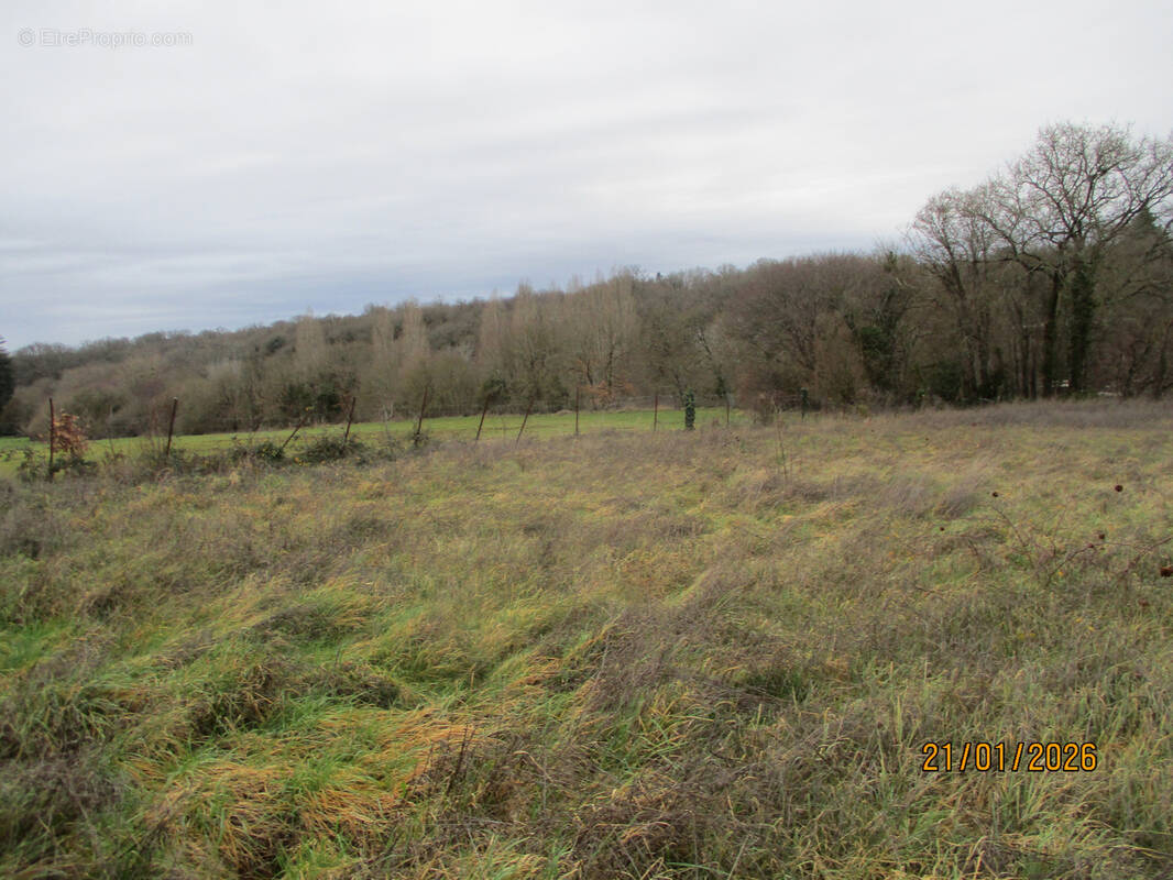 Terrain à CEAUX-EN-COUHE