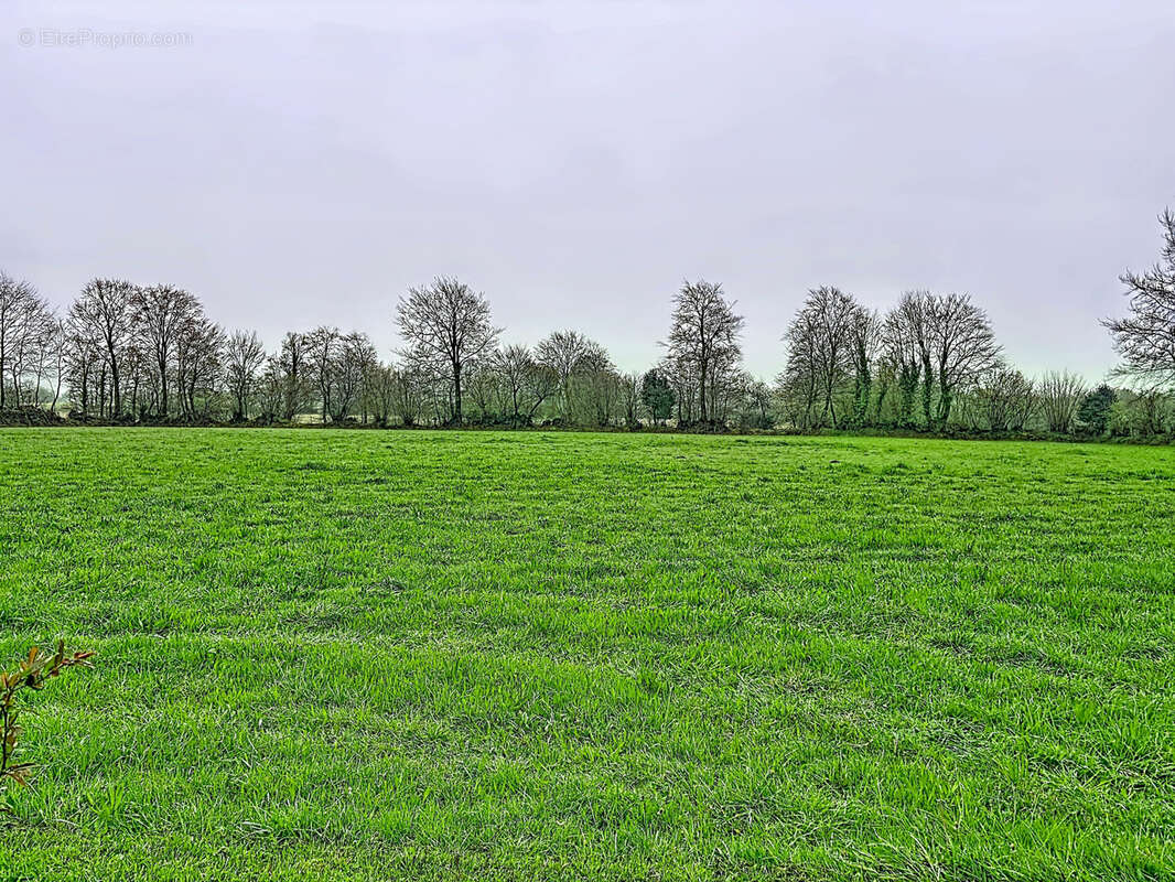 Maison à SAINT-CLEMENT-RANCOUDRAY