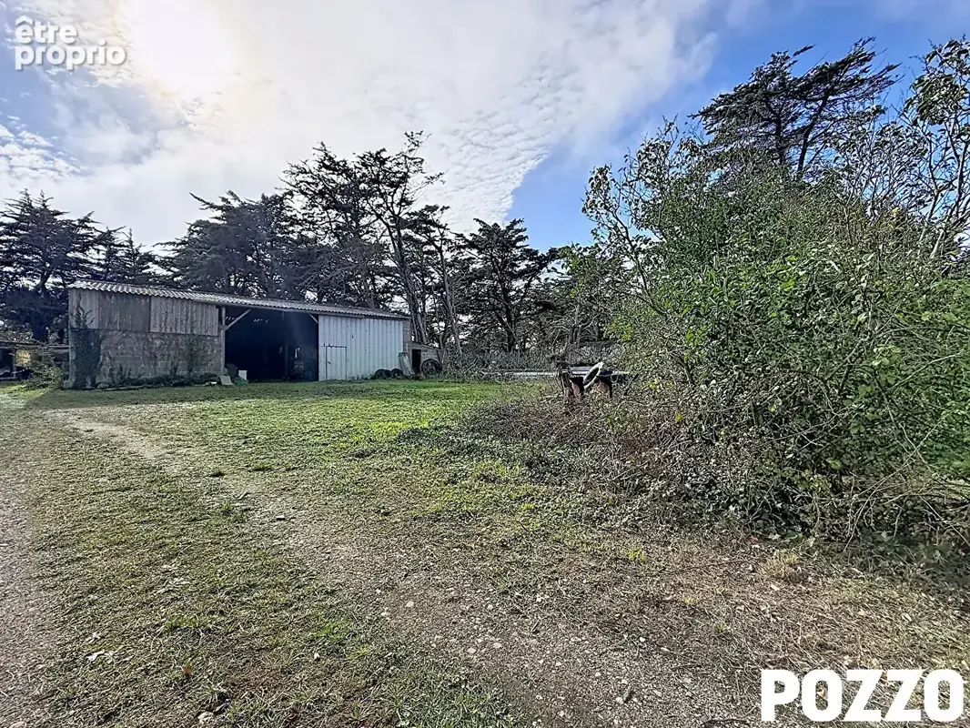 Maison surtainville 4 pièces 68.47 m2 - à vendre ? maison de plain-pied avec hangar et grand terrain à surtainville - photo 3